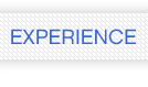 EXPERIENCE