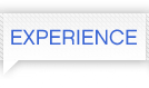 EXPERIENCE